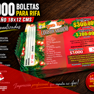 🥇 1.000 Boletas de Rifa Numeradas | en Tamaño: 18x12 cms.
